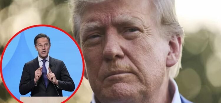 “Querido Donald”: Trump pública la felicitación que recibió del jefe de la OTAN, Mark Rutte