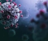Emite la OMS alerta por virus Stratus